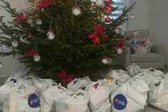 1_403626302_914059826799495_8225359824573449630_n